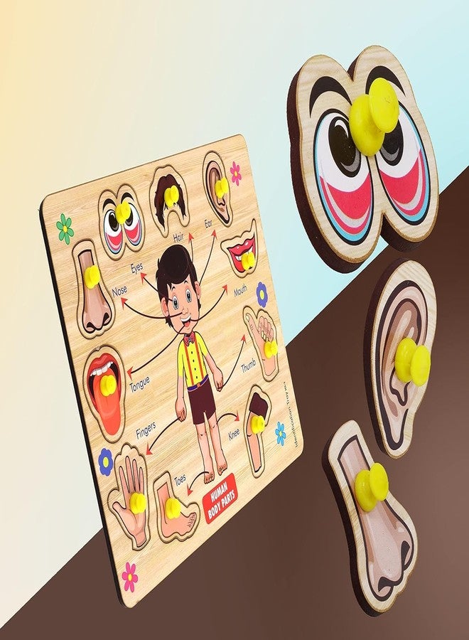 RPC99 Wooden Learning Educational Game Board for Kids, Puzzle Toys for 2 Years Old Boys & Girls Educational Learning Puzzle Toy for Kids ((B0DY PRT & SWAR & 1 T0 20)) - Image 4